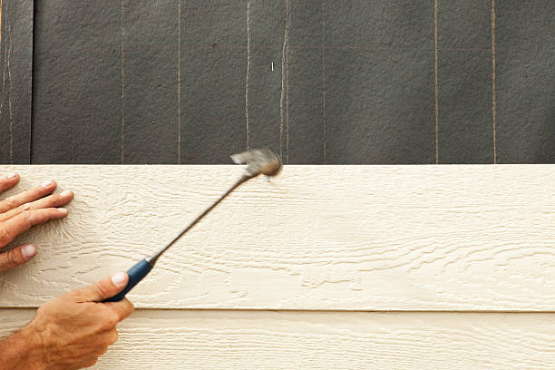 Best Vinyl Siding Installation  in Iowa City, IA